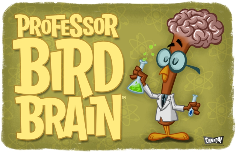 bird brain copy