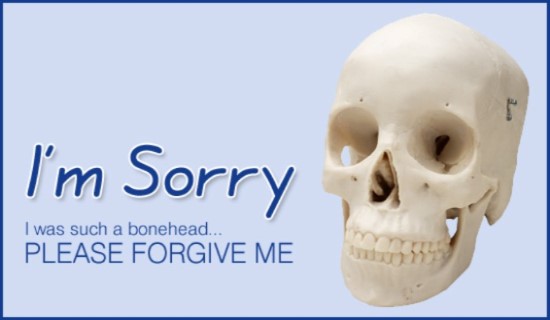 17337-bonehead-i-m-sorry